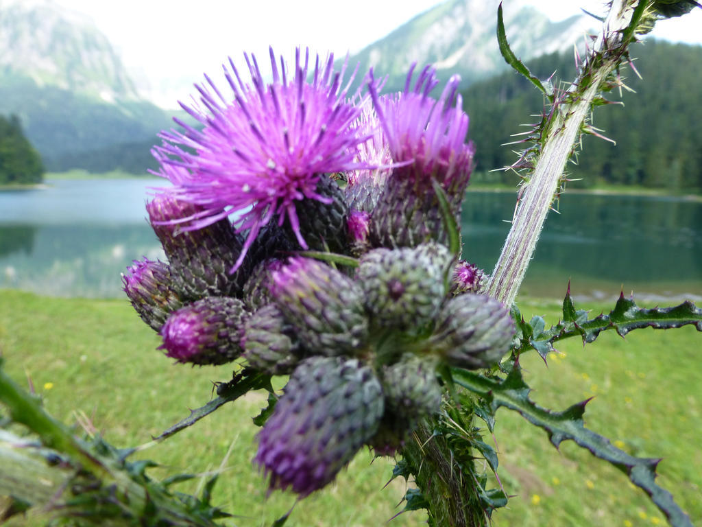 Berghotel Obersee Näfels Exteriör bild