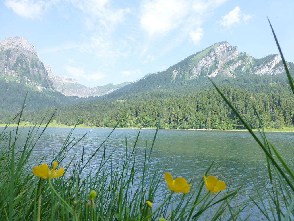 Berghotel Obersee Näfels Exteriör bild